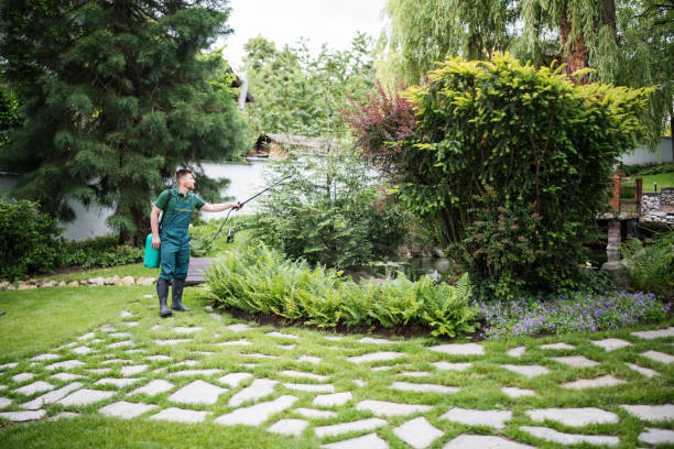Best Ant Control Services  in Detroit Beach, MI