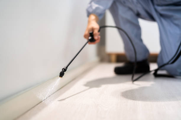 Best Pest Prevention Services  in Detroit Beach, MI