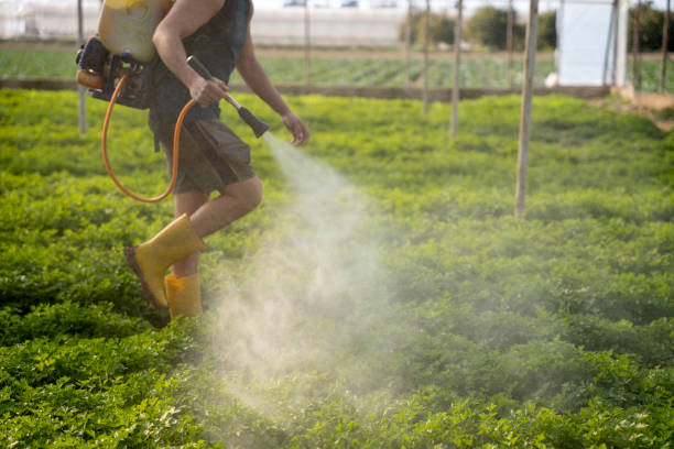 Best Commercial Pest Control Services  in Detroit Beach, MI