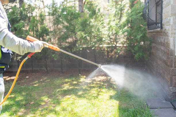  Detroit Beach, MI Pest Control Pros