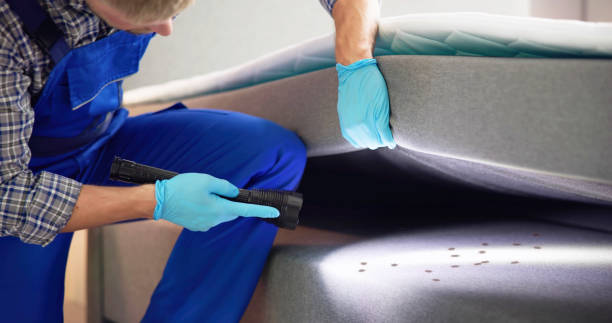 Best Affordable Pest Control Services  in Detroit Beach, MI